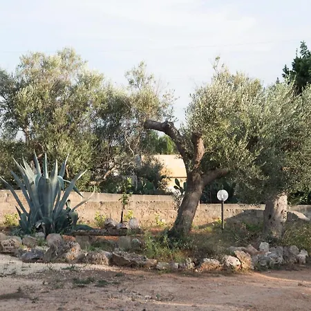 La Collina Degli Ulivi Сasa de vacaciones Matino